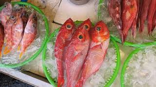 Amazing freshest seafood at fish port, fish boat unloading