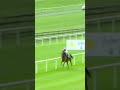  enable  what a racehorse she was racingtv horseracing shorts