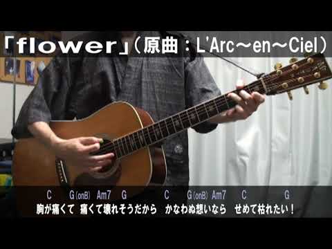 Hiro Stella Channel ヒロ ステラ チャンネル