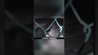 Terrifying Dogman Sighting Caught on Camera in California!