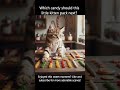 Cutest Kitten Working at a Candy Shop | Sweetest Mini Helper Ever #shorts