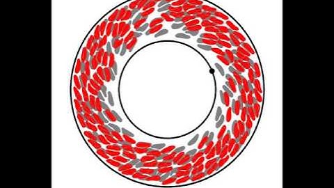 Dense Vesicle Suspension