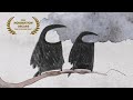 A short clip from Badgered by Sharon Colman | Oscar® Nominated Short Film 2005