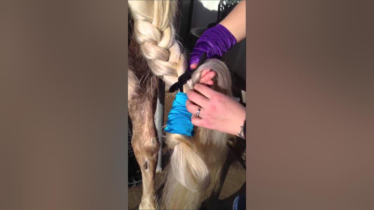 How to put in a tail bag YouTube