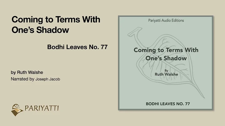 Coming to Terms With One's Shadow by Ruth Walshe