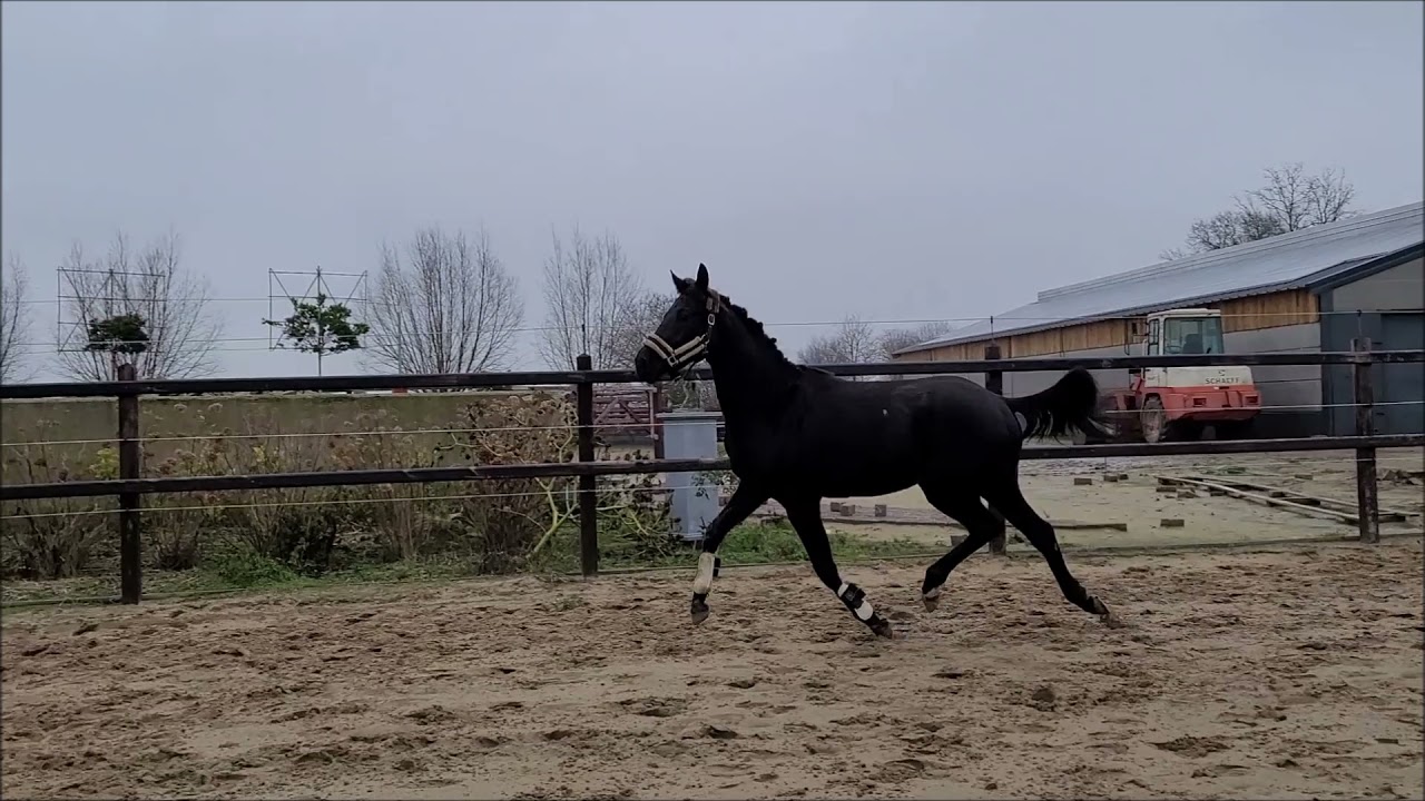 Painted Black x Glamourdale YouTube