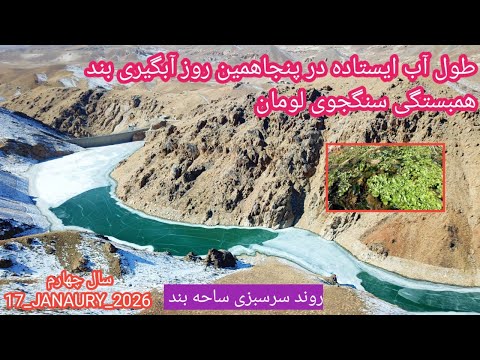 روند سرسبزی و پنجاهمین روز آبگیری بند همبستگی سنگجوی لومان بند همبستگی مردم افغانستان