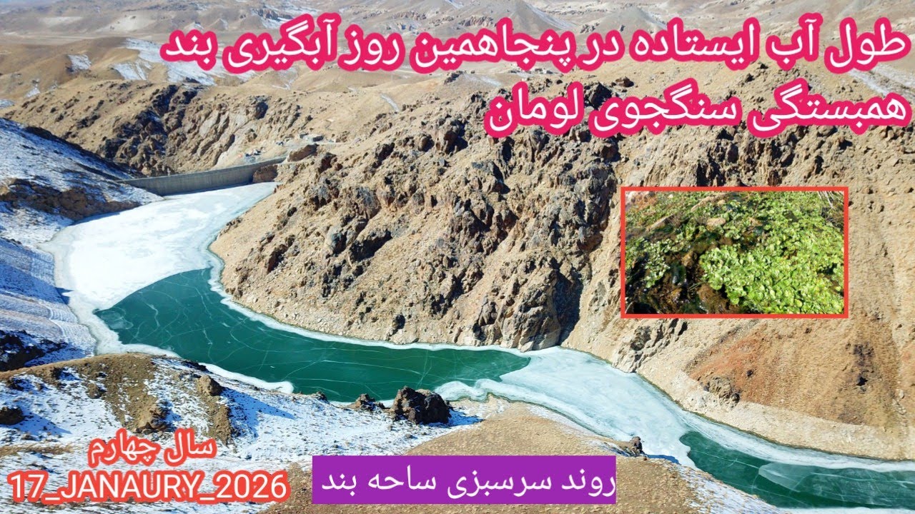 روند سرسبزی و پنجاهمین روز آبگیری بند همبستگی سنگجوی لومان (بند همبستگی مردم افغانستان)