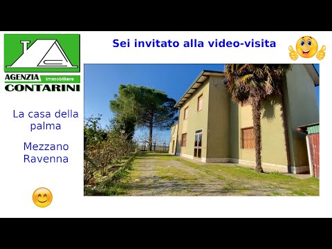 Video: Casa Sulla Palma