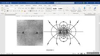 PHYS 212-Lab 1 Instructions