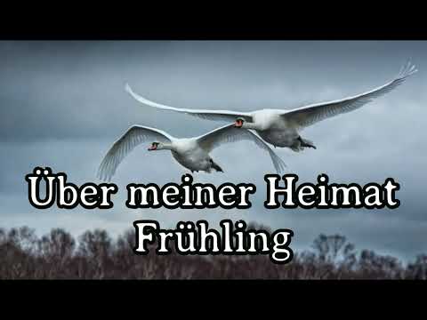 Gesche & @lorelina_offiziell - Über meiner Heimat Frühling