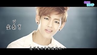 [認人版]BTS (방탄소년단) - Boy In Luv (상남자) MV繁體中字