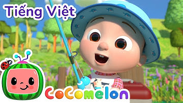 Cùng Đi Bắt Cá - CoComelon | Moonbug Kids Tiếng Việt | Phim hoat hinh thieu nhi