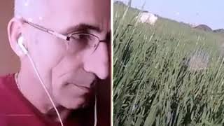 Ben Yetim