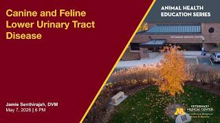 Canine and Feline Lower Urinary Tract Disease Feline Lower Urinary Tract Disorders