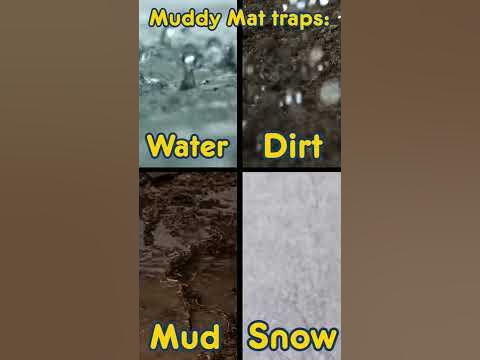 Muddy Mat - Works for dirty paw prints! 