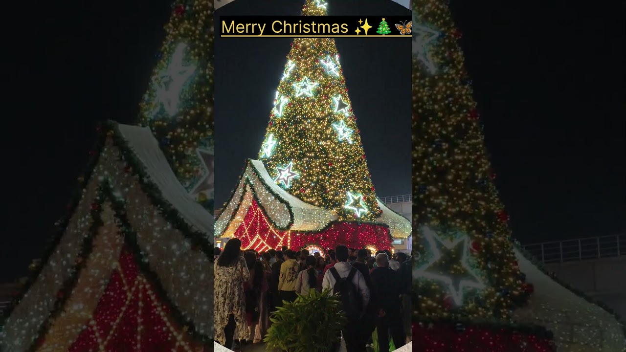 Merry Christmas 🎄🎁 