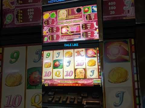 Keeping the Streak Alive: Wild Casino Wins at South Point!