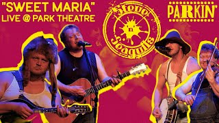 Heavy Metal or Bluegrass?! w/ Steve 'n' Seagulls | Parkin' Ep. 4 - "Sweet Maria" LIVE!