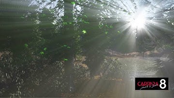 Woodlands - SunRays1