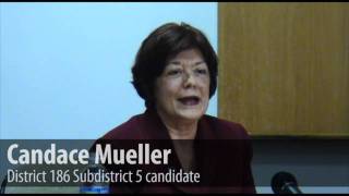 District 186 School Board: Subdistrict 5