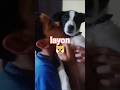 #layon #✓