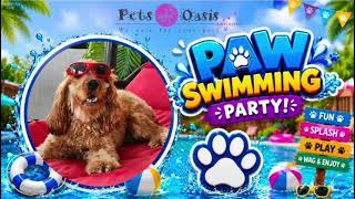 Poppy's Paw Swimming Party! 🐶💦 Splashing Into Holiday Happiness