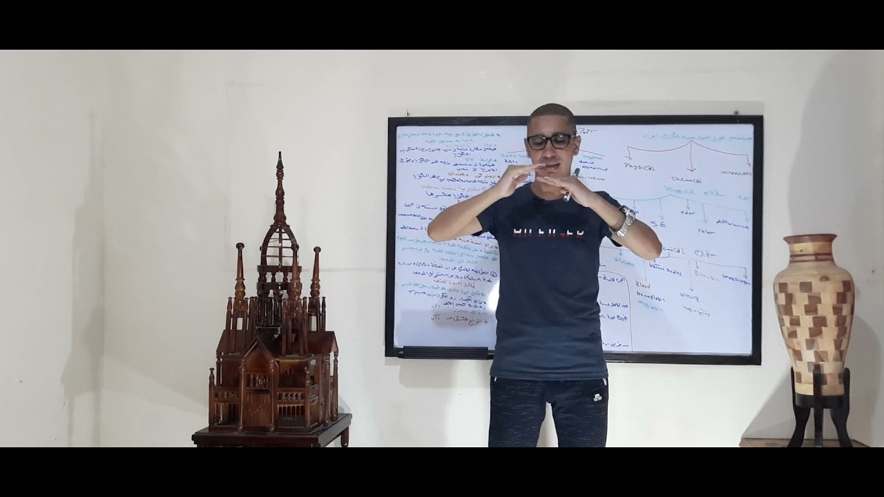 E55.تقرير اليورن+انواع عينات البوب المختلفة وليه لازم افحص البول مباشرة وازاى احفظ العينة