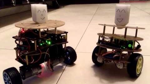 機器人 自平衡 arduino