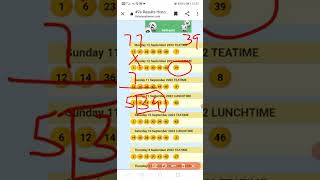 Strategy to win UK 49 Lunchtime two numbers and a bonus 13 September 2022