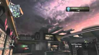COD: Black Ops- Beastly Tomahawk and Dolphin/Swan Hawk Montage- MUST SEE!!