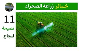 11 سبب للخسارة في استصلاح الاراضي الصحراوية و مخاطر الاستثمار في زراعة الصحراء