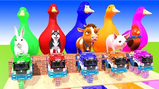 5 Giant Duck, Monkey, Piglet, chicken, dog, cat, lion, cow, Sheep, Transfiguration funny animal 2024