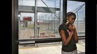 The American Prison System