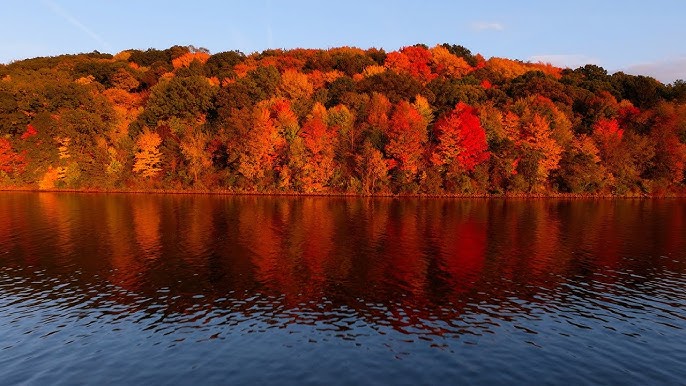 Bear Run on the South Shore of Moraine State Park