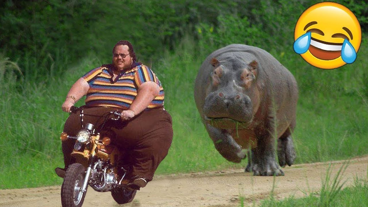 IMPOSSIBLE DE NE PAS RIRE ! 🤣🤣🤣 le lipopotam confond même l'ennemi 🤣 ...