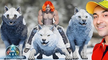 TAMING THE DIREWOLF PACK LEADER WAS MY MISTAKE 😨- ARK SURVIVAL ASCENDED || EP - 57