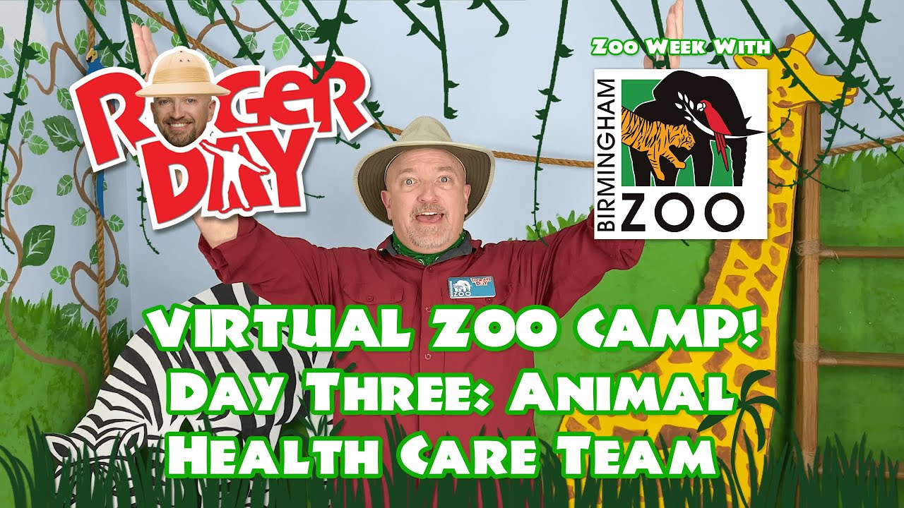 Animal Health Care Team - Virtual Zoo Camp Day Three