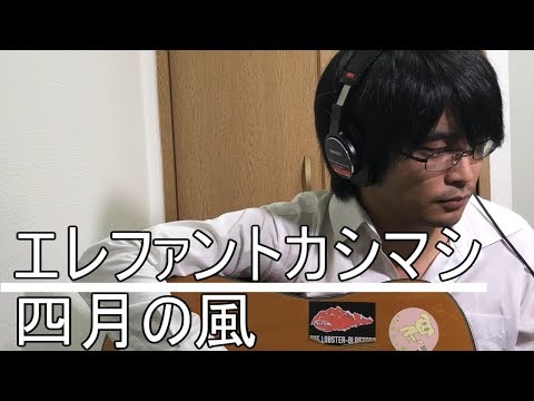 四月の風 エレファントカシマシ 弾き語り フル cover 弾き語り 歌詞付き アコギ 歌ってみた ムラモト