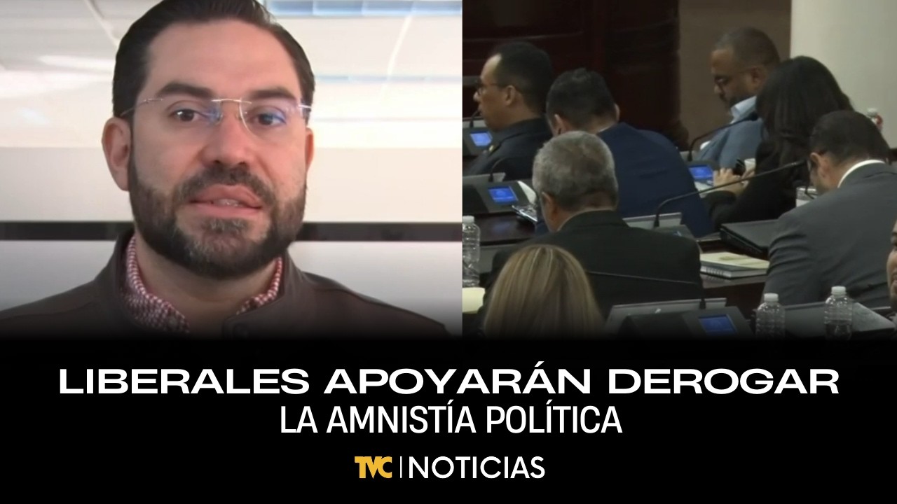 Liberales apoyarán derogar la amnistía política
