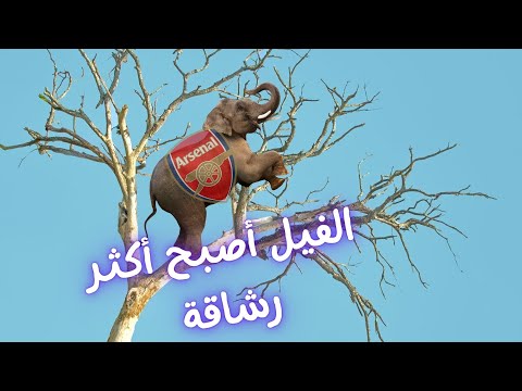 اسرار تفوق ارسنال مع ميكيل ارتيتا