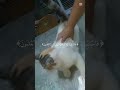 يا قاضي الحاجات يامجيب الدعوات يا رب اقضي حوائجنا وستجب دعاءنا ورزقنا النظر إلى وجهك الكريم يا الله يا قاضي الحاجات يامجيب الدعوات يا رب اقضي حوائجنا وستجب دعاءنا ورزقنا النظر إلى وجهك الكريم يا الله