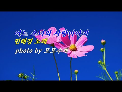 코스모스 &amp;amp; 어느 소녀의 사랑이야기 / <strong>민해경</strong> 노래 &amp;amp; photo by 모모수계