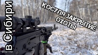 Сибирская косуля последний выезд!!!