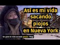 💁‍♀️ Así es mi vida sacando piojos en Nueva York - VLOG 😜