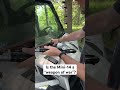 Is the Mini-14 a weapon of war?