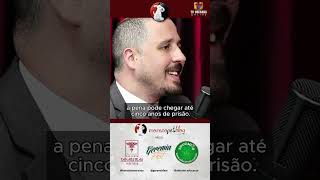 ⚖️ LEI SANSÃO: PUNIÇÃO AINDA É BRANDA PARA MAUS-TRATOS?