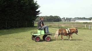 foto's dinkytoys 020.AVI