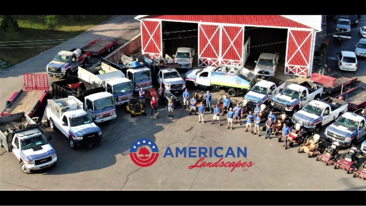 Low-Maintenance Boxwood Alternatives for 2026