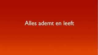 Alles Ademt en Leeft (Circle of Life) Lyrics - TLK Dutch musical chords